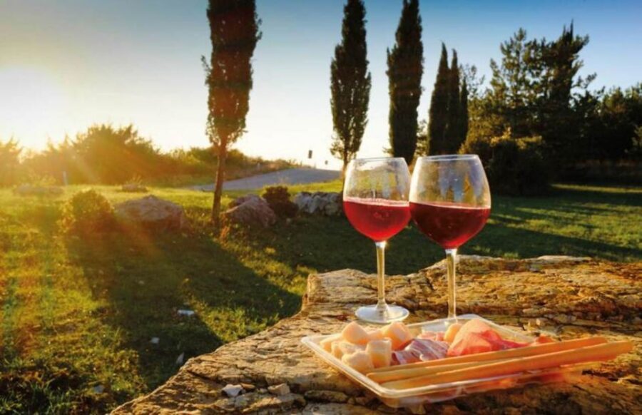 Siena: San Gimignano, Chianti & Montalcino Small-Group Tour - Montalcino fortress strolls and the Brunello tasting payoff