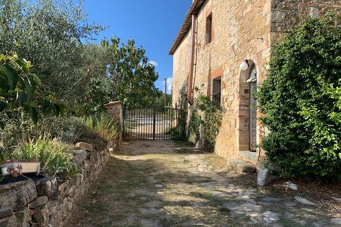 Siena: Small group Cooking Class in Chianti Farmhouse - What $139.13 buys you in real value