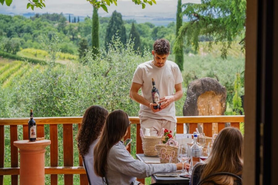 Siena: winery tour, wine tasting and lunch - Key things to know before you go