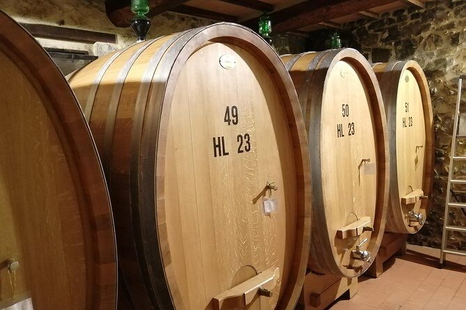 Small-Group Brunello di Montalcino Wine-Tasting Trip from Siena - Family-run winery lunch: the meal that turns a tasting day into a memory