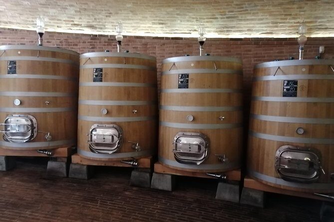 Small-Group Brunello di Montalcino Wine-Tasting Trip from Siena - Winery Stop 1: vineyard walking, cellars, and Brunello tastings