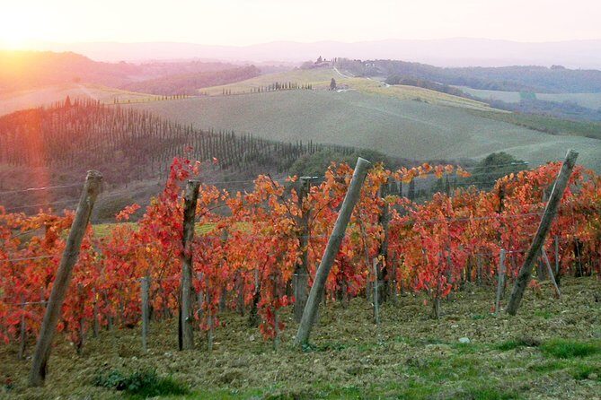 Small-Group Chianti and San Gimignano Sunset Trip from Siena - Price and logistics: is $217.23 worth it?