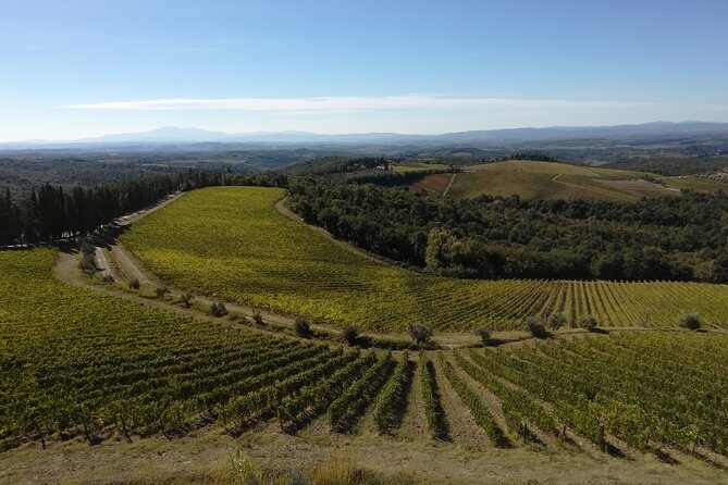 Small-Group Chianti Trip with Wine Tasting from Siena - Castello di Ama: Tuscan lunch and the wine tasting payoff