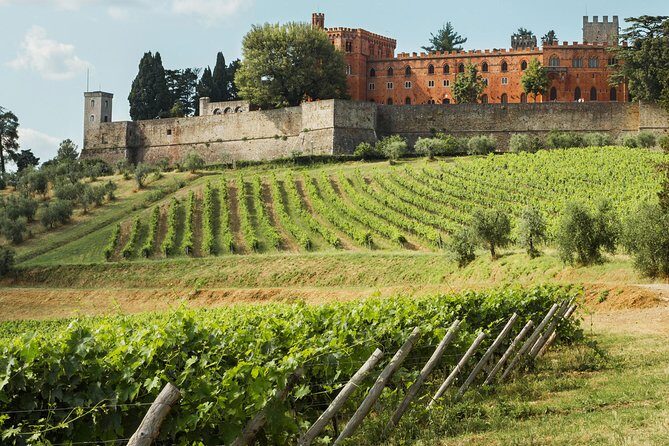 Small-Group Chianti Trip with Wine Tasting from Siena - What’s included, and where you may spend extra