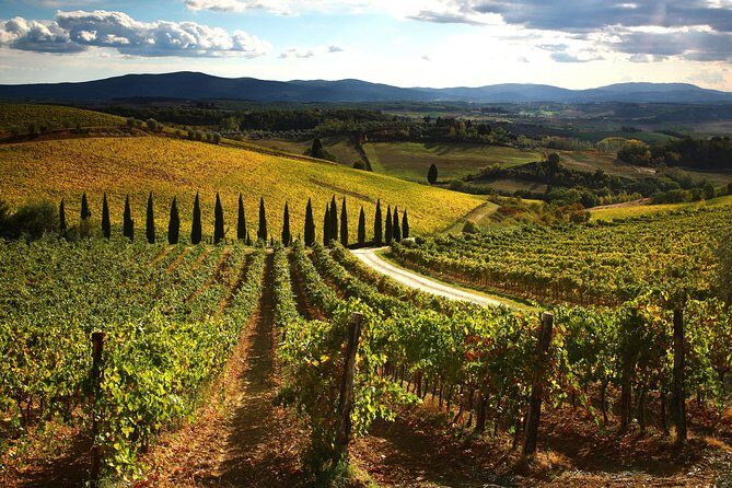 Small-Group Chianti Trip with Wine Tasting from Siena - What to pack so you enjoy every stop