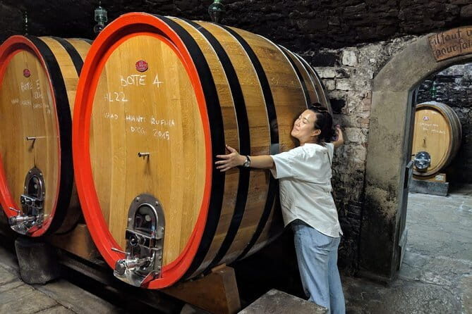 Small Group Chianti Wine Tasting with Seven Tuscan Wines - How the Chianti day works from Florence