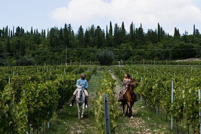 Small Group Chianti Wine Tasting with Seven Tuscan Wines - Timing, transport, and the no-hotel-pickup reality