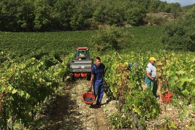 Small Group Chianti Wine Tasting with Seven Tuscan Wines - Fattoria San Pancrazio: a 12th-century villa tasting setting