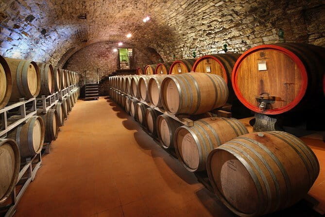 Small-Group Wine Tasting Experience in the Tuscan Countryside - Stop One in Chianti Classico: Vineyard and Barrel Room, Then 3-Wine + Olive Oil Tasting