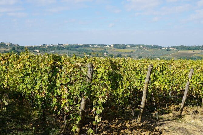 Super Chianti 2 wineries & meat feast @ Dario Cecchini—max 8 pp - The Two-Lane Path: Grape Tours to the First Winery