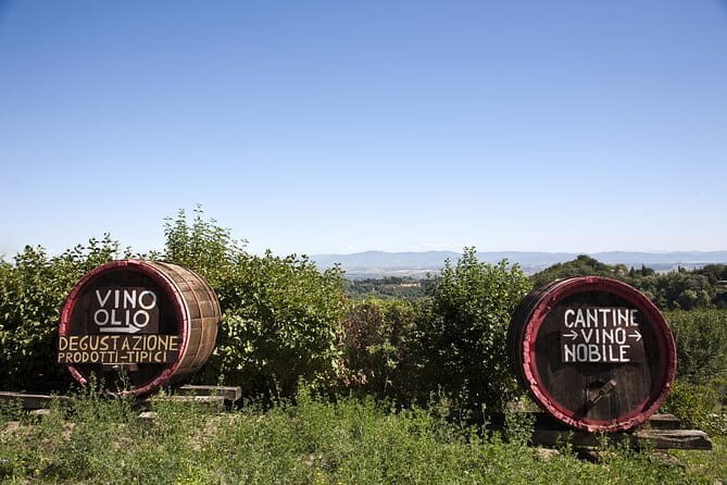 Super Chianti 2 wineries & meat feast @ Dario Cecchini—max 8 pp - Wine Tasting Value: About 10 Wines and Why the Guide Matters
