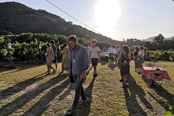 Tasting in a Tuscan Vineyard with transfer from Lucca - Who This Tour Fits Best (and Who Might Want Something Else)