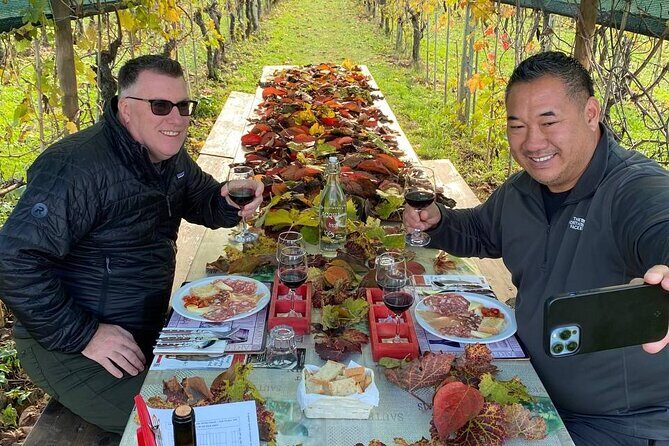 Tasting in a Tuscan Vineyard with transfer from Lucca - The Winery Visit: Vineyard Views and a Real Cellar Tour