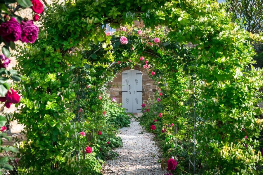 Total Immersion Wine Tour in Chianti - Key things to know before you go