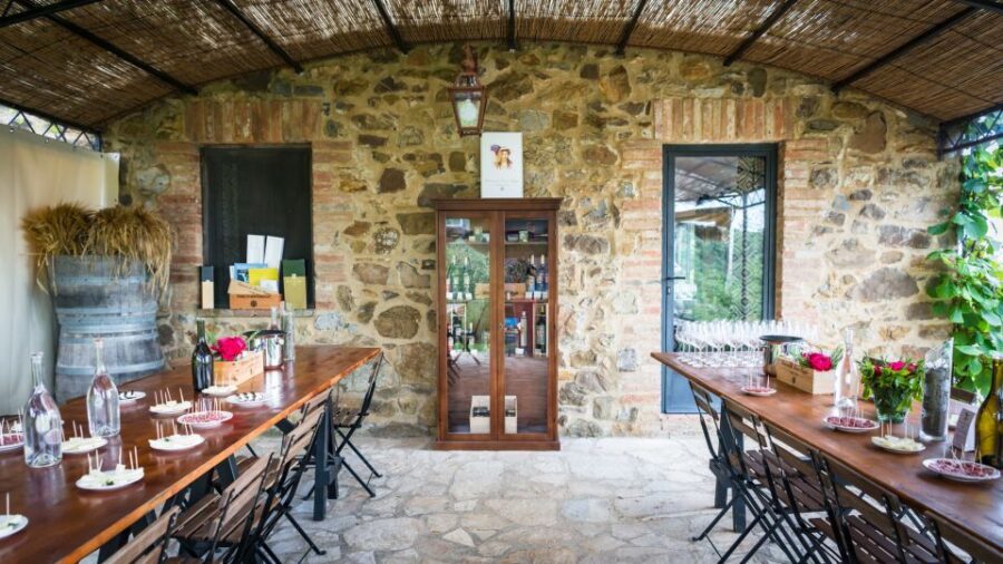 Total Immersion Wine Tour in Chianti - Should You Book This Organic Chianti Tour?