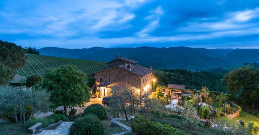 Total Immersion Wine Tour in Chianti - Rooftop Views and the Black Rooster Story