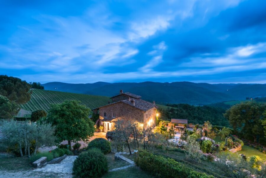 Total Immersion Wine Tour in Chianti - Inside the Cellar: Harvest, Fermentation, and Aging Steps