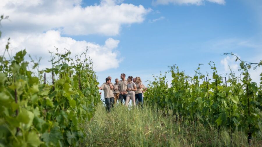 Total Immersion Wine Tour in Chianti - The 5-Wine Mini Tasting Course (Plus Optional Grappa)