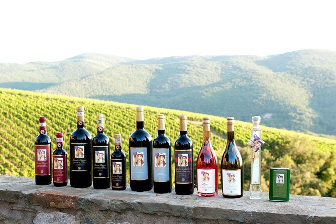 Tour and Tasting at an Organic Winery in the Heart of Chianti Classico Area - Key highlights worth marking on your map
