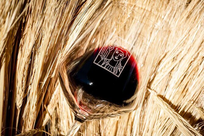Tour and Tasting at an Organic Winery in the Heart of Chianti Classico Area - The tasting lineup: five wines with snacks that actually matter