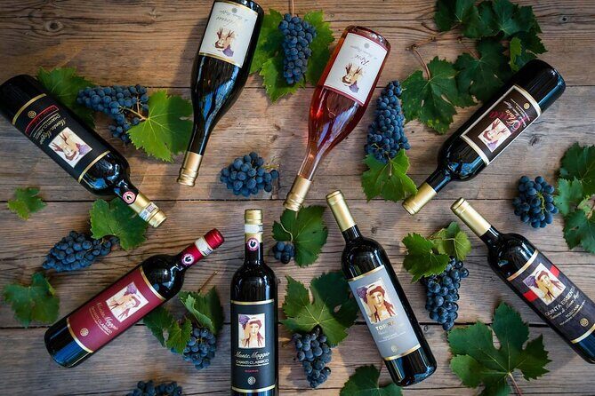Tour and Tasting at an Organic Winery in the Heart of Chianti Classico Area - Group size and guide style: what the small cap really changes