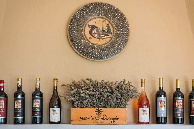 Tour and Tasting at an Organic Winery in the Heart of Chianti Classico Area - Getting there from Radda: the remote road reality check