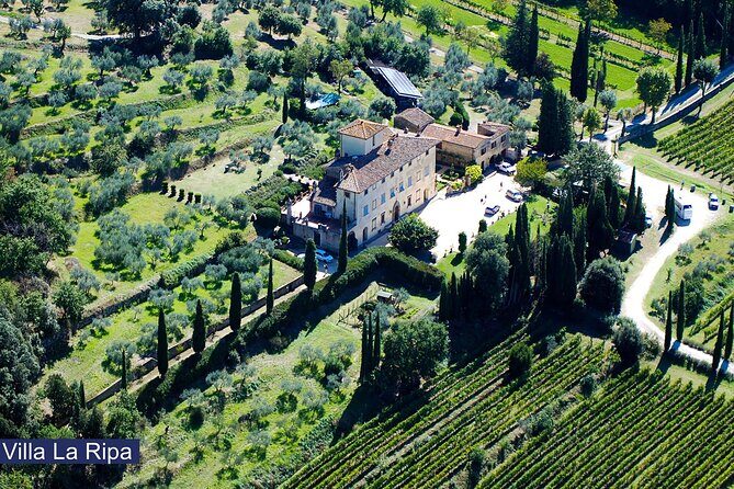 Tour through the vineyards and wine and olive oil tasting in Tuscany - Key highlights to know before you go