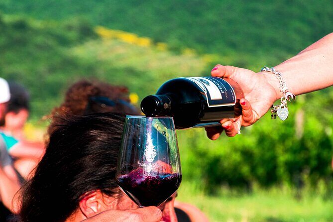 Tour through the vineyards and wine and olive oil tasting in Tuscany - The four-wine tasting: more than a sampler flight