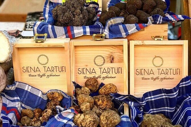 Truffle Hunting Experience Siena Tartufi - What you learn while you walk: truffles aren’t just a food