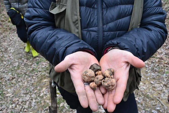 Truffle Hunting Experience with Lunch in San Miniato - Getting there from Florence: the train to San Miniato and taxi with Antonio