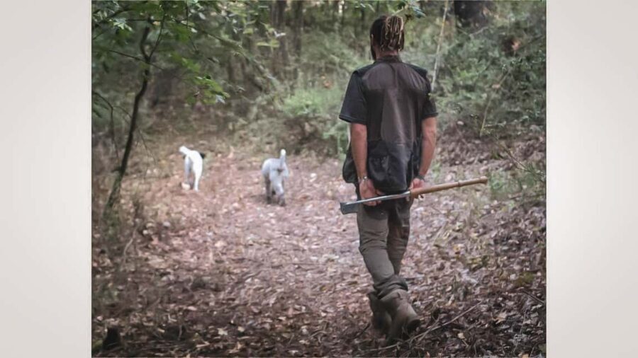 Truffle Hunting in San Gimignano - Walking the Forest With a Purpose: Following Alerts and Digging Carefully