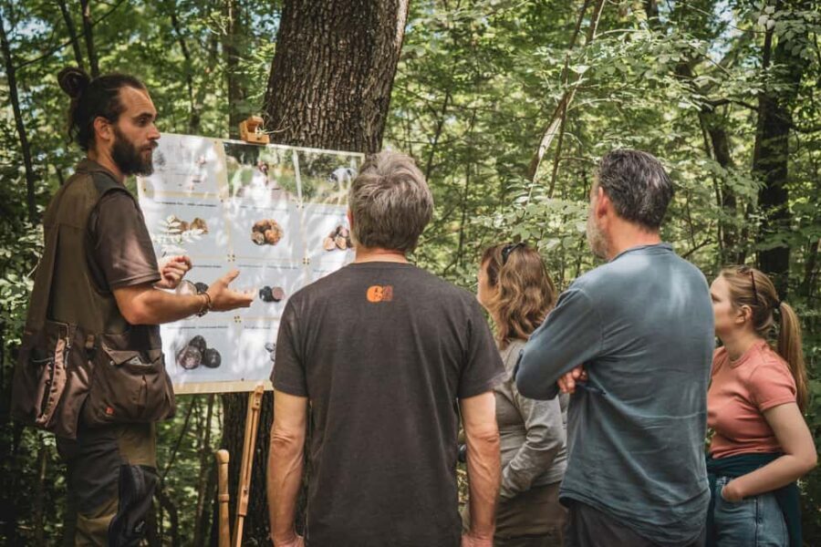 Truffle Hunting in San Gimignano - What to Expect From the Group Pace and Style of Guidance