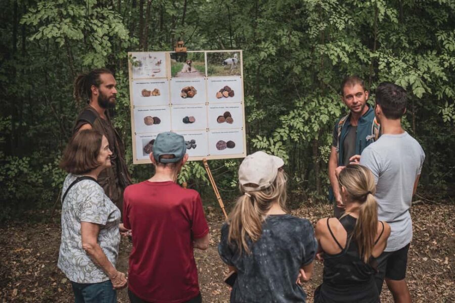 Truffle Hunting in San Gimignano - Starting at Coop and Moving Into the Woods by Car
