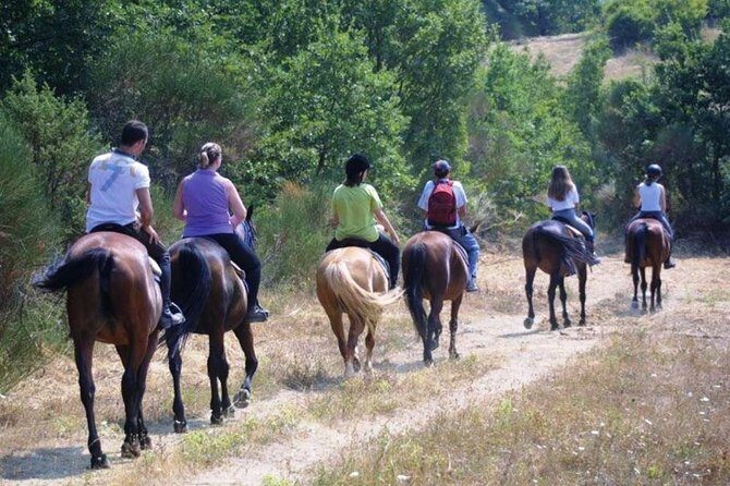 Tuscan Chianti Hills Horseback Riding Tour - Tuscan Chianti Hills on horseback: the feel of the whole experience