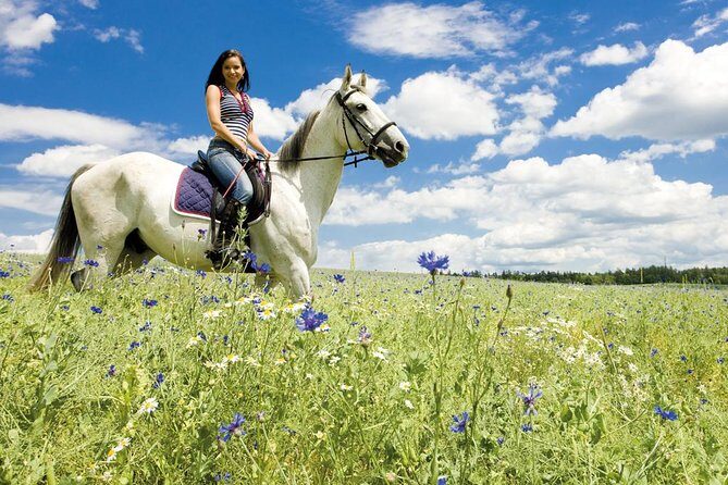 Tuscan Chianti Hills Horseback Riding Tour - Price and value: is $90.11 worth your time?