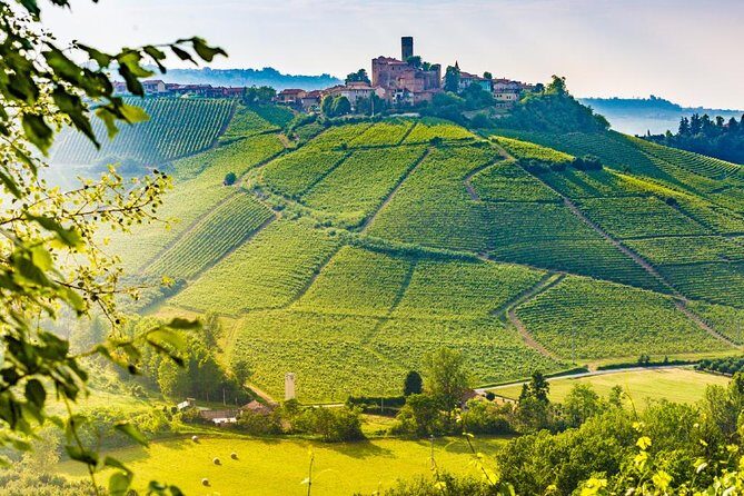Tuscan Chianti Hills Horseback Riding Tour - Safety, group size, and the instruction level you should expect