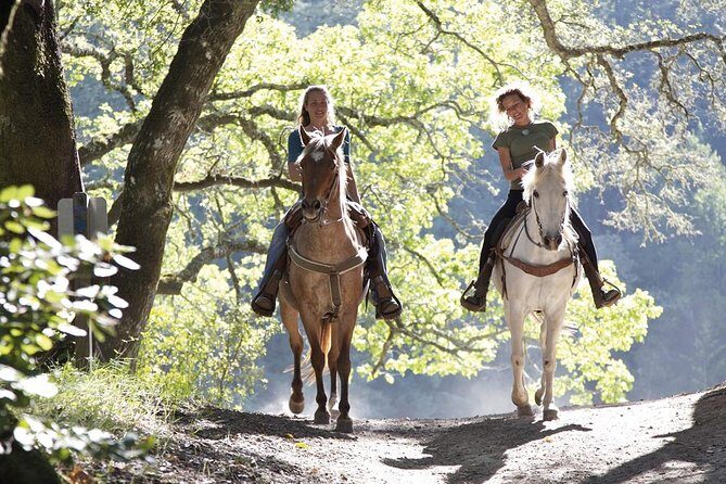 Tuscan Chianti Hills Horseback Riding Tour - Weather and timing: when the heat and shade matter