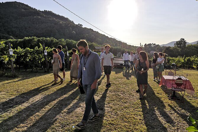 Tuscan Wine Tour in Lucca by van - Stop 1: the first winery in the Lucca hills (about 2 hours)