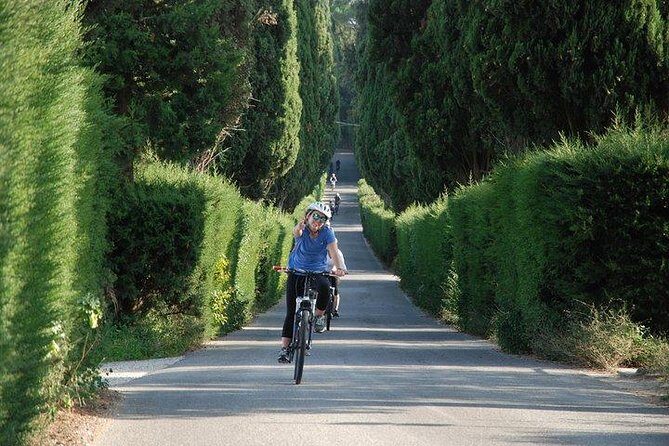 Tuscany Bike Tours Through the Chianti Hills with Wine Tasting - The Ride Itself: Distance, Hills, and Why “Beginner” Still Needs a Reality Check