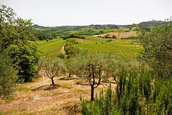 Tuscany Day Trip from Florence: Siena, San Gimignano, Pisa and Lunch at a Winery - The Coach Ride Into Tuscany: What the Guide Sets Up