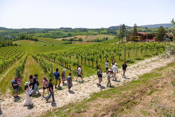 Tuscany Day Trip from Florence: Siena, San Gimignano, Pisa and Lunch at a Winery - Who This Tour Suits Best (and Who Should Rethink)