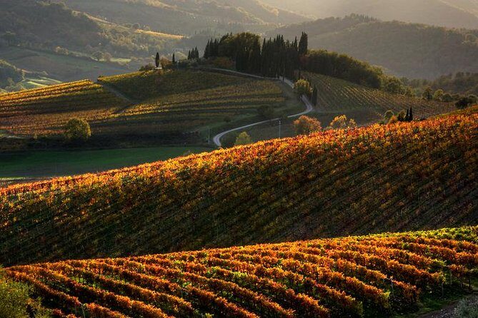 Tuscany Hiking Tour from Siena Including Wine Tasting - Key takeaways before you go