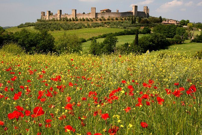 Tuscany Hiking Tour from Siena Including Wine Tasting - Monteriggioni: The Walled Town You Reach After the Walking