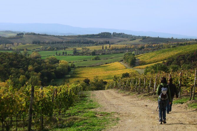 Tuscany Hiking Tour from Siena Including Wine Tasting - The Return to Siena: Use the Ticket and Keep Your Tempo