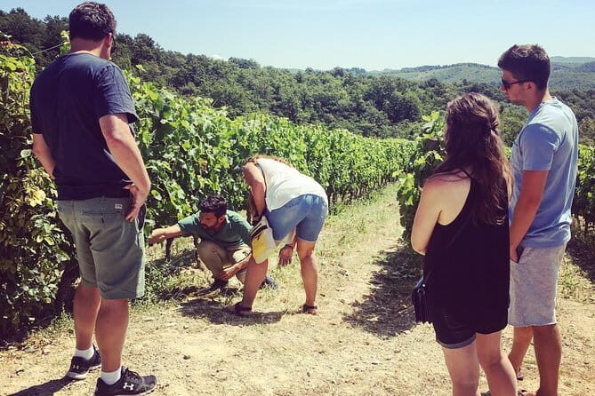 Tuscany Vespa Tours Through the Hills of Chianti - Who the guides are and what they do well
