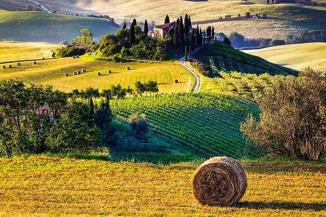 Tuscany Wine & Hills from Florence - Small Group - Montepulciano: steep lanes, Nobile di Montepulciano, and free wandering time