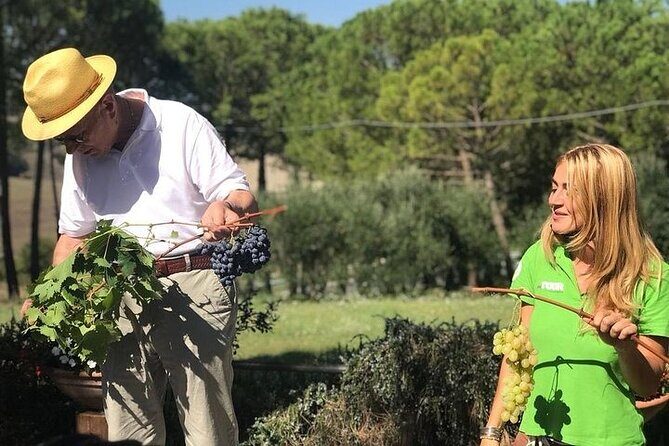 Tuscany Wine & Hills from Siena - Small Group - Lunch and Tastings: What’s Included (and Why It’s Good Value)