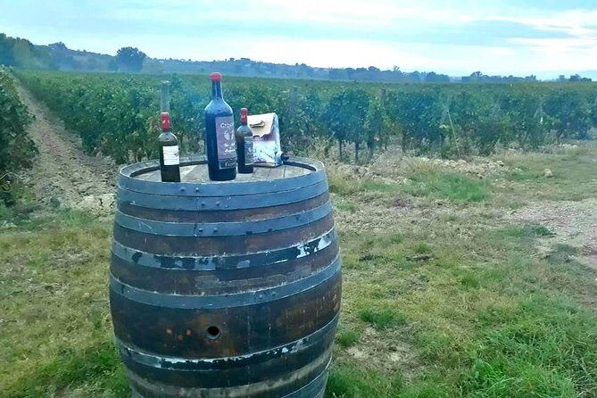 Tuscany Wine & Hills from Siena - Small Group - Small-Group Size, Guides, and the Self-Guided Pace Reality