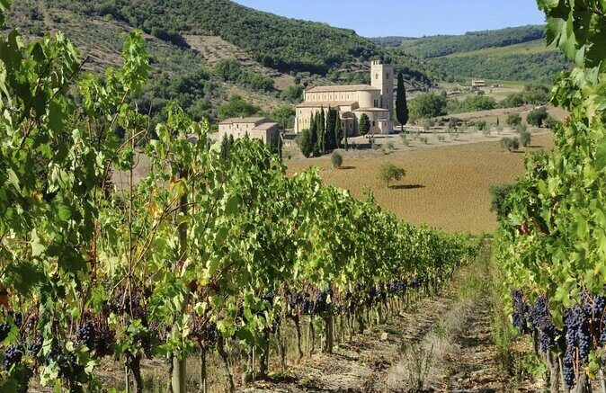Val d'Orcia Brunello Wine Tour with Montalcino and Montepulciano - Key things that make this day trip work