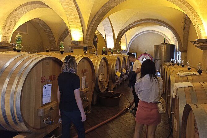 Val d'Orcia Brunello Wine Tour with Montalcino and Montepulciano - Van comfort, timing, and how to avoid the common frustrations